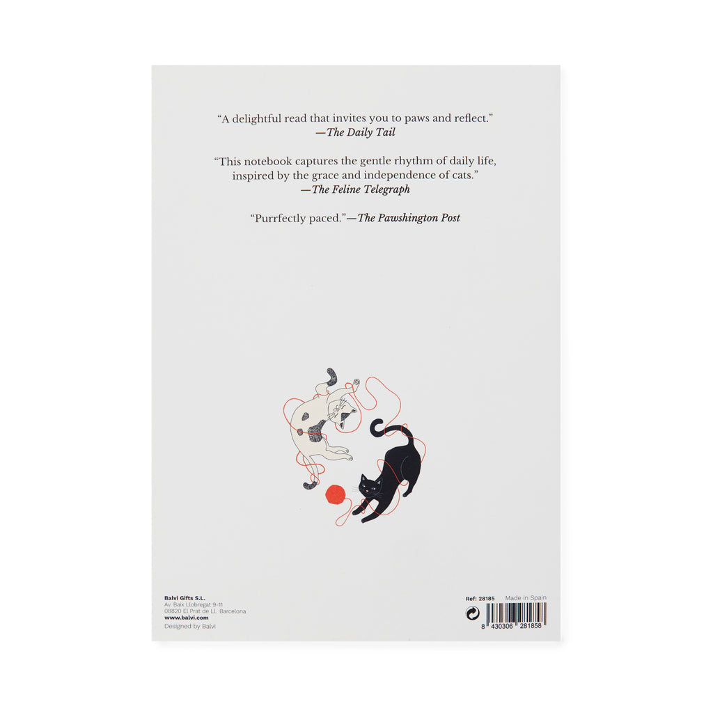 balvi-the-cat-diaries-carnet-chat-multicolore image 5