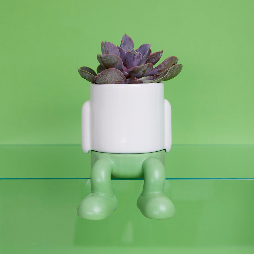 balvi-home-decor-mr-dangly-mini-cache-pot-c-ramique-jambes image 2