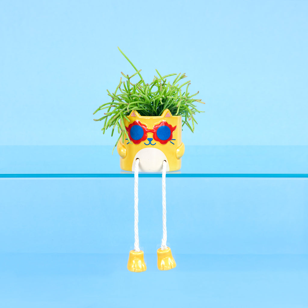 balvi-cool-cat-mini-pot-fleur-chat-jaune-c-ramique image 2