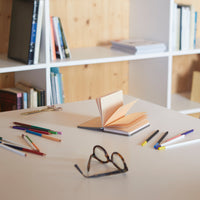 balvi-desk-conserverie-saumon-carnet-bo-te-conserve image 2