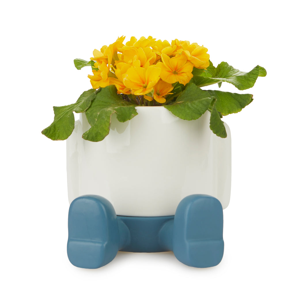 balvi-mr-sitty-cache-pot-c-ramique-bleu image 6
