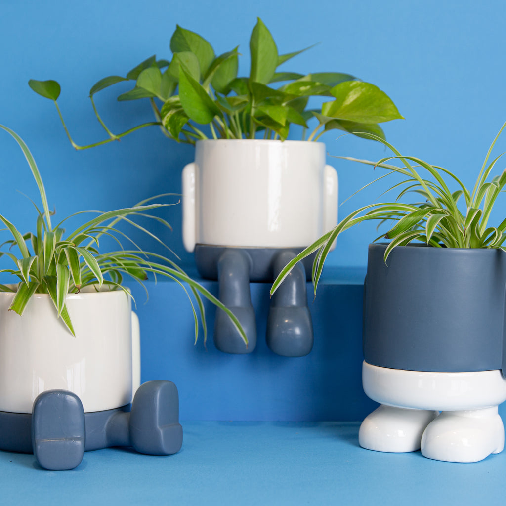 balvi-home-decor-mr-standy-pot-plante-c-ramique-rouge image 8