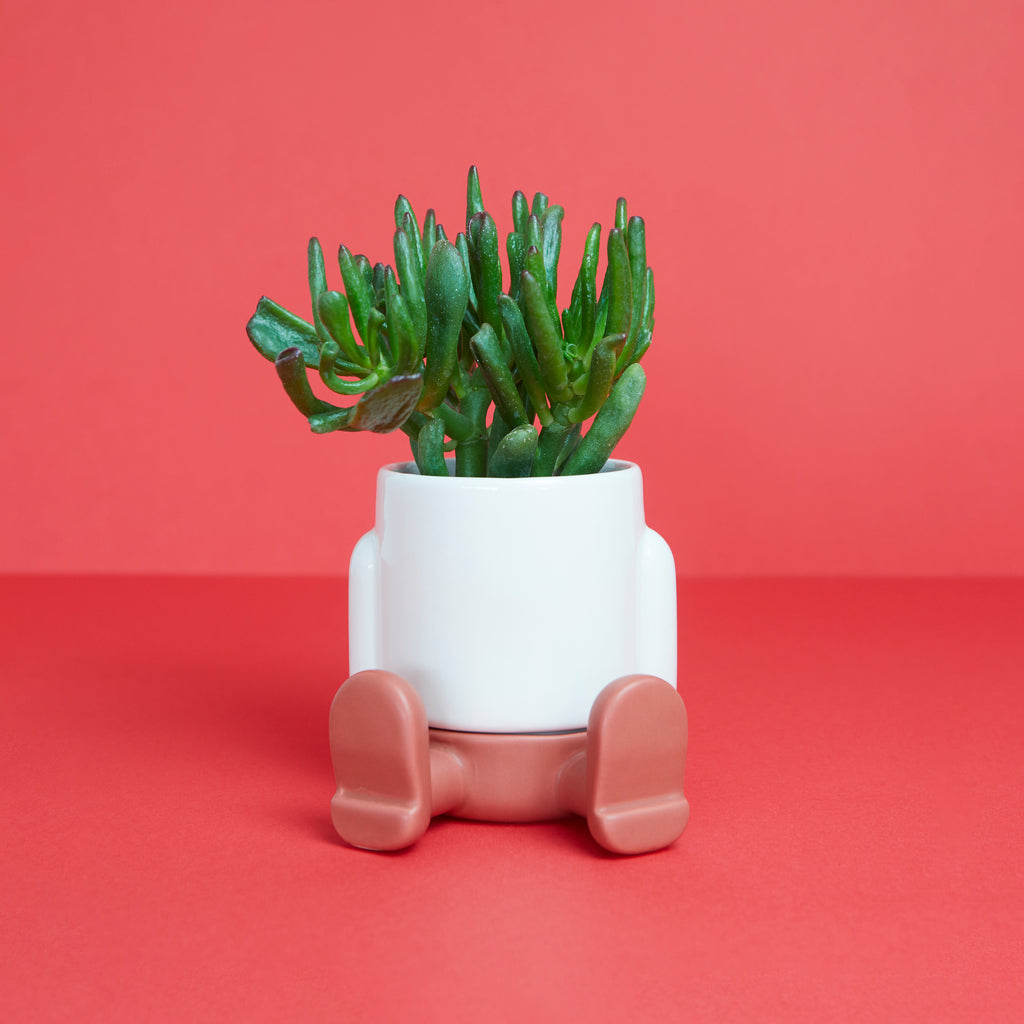 balvi-mr-sitty-cache-pot-c-ramique-rouge-mini image 2