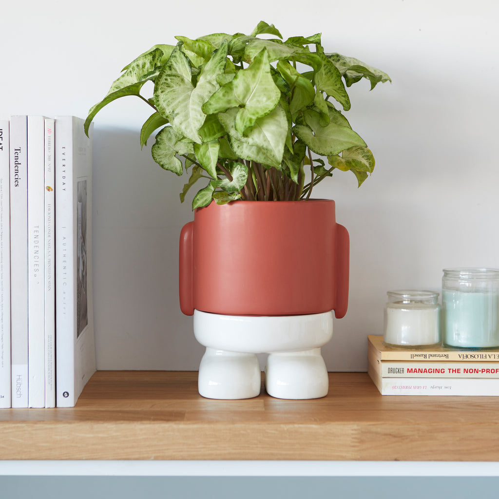 balvi-home-decor-mr-standy-pot-plante-c-ramique-rouge image 3
