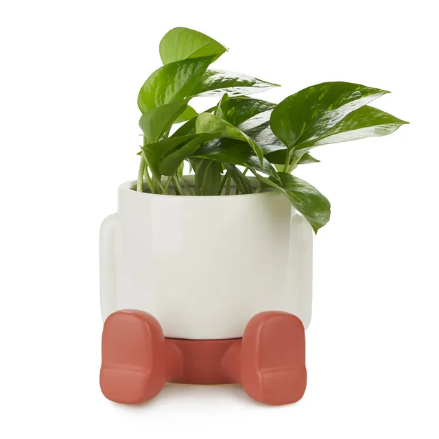 balvi-mr-sitty-cache-pot-c-ramique-bleu image 1