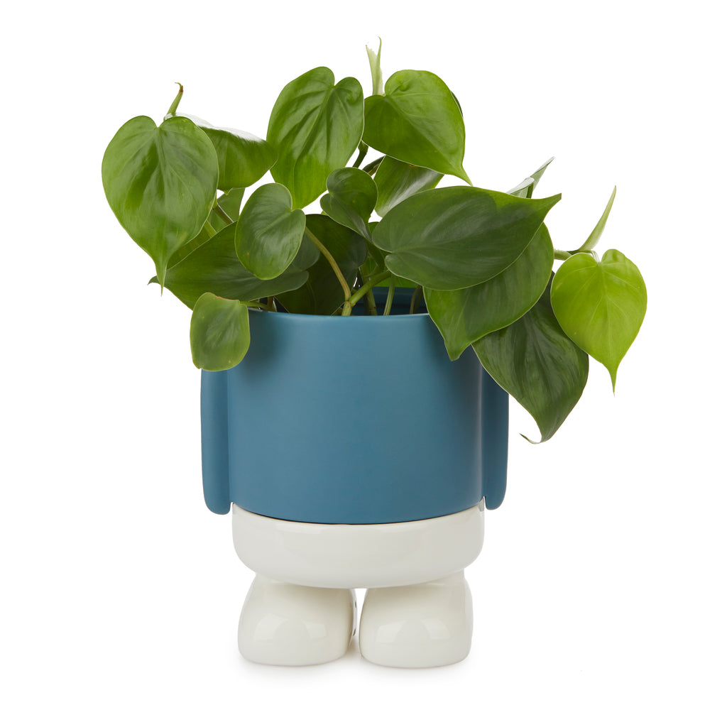 balvi-home-decor-mr-standy-pot-plante-c-ramique-rouge image 7