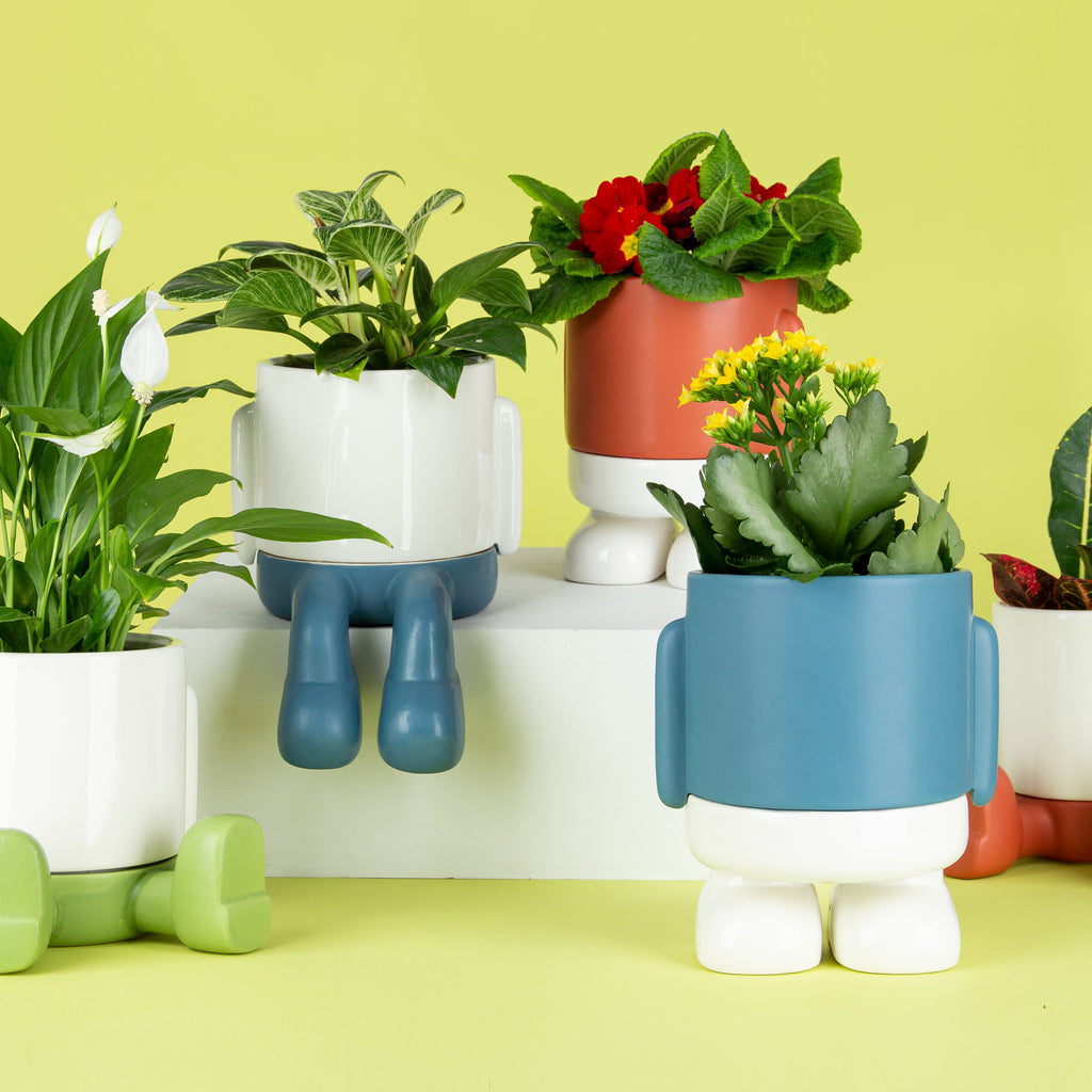 balvi-home-decor-mr-standy-pot-plante-c-ramique-rouge image 2
