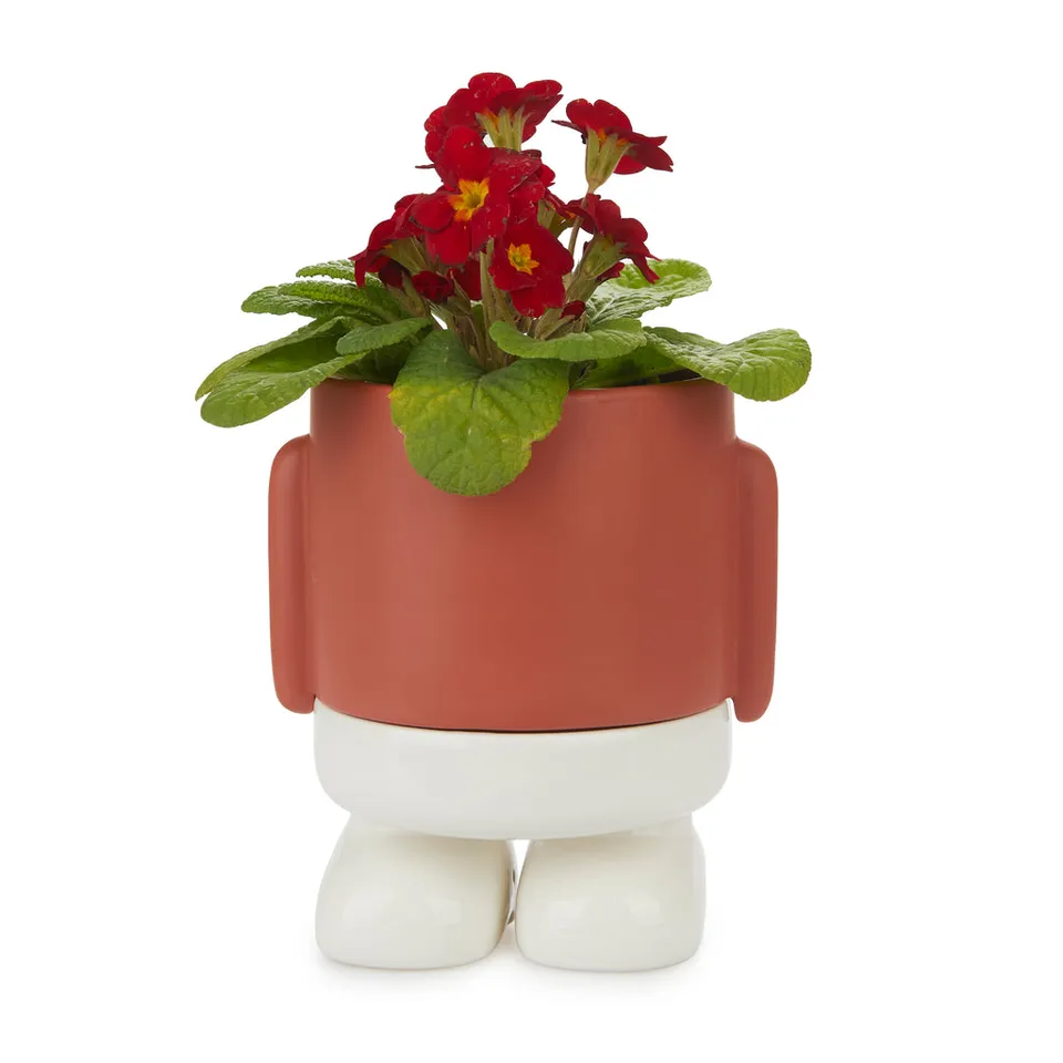 balvi-home-decor-mr-standy-pot-plante-c-ramique-rouge image 1