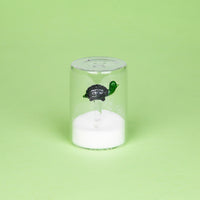 balvi-atlantis-sali-re-tortue-verre-borosilicate image 2