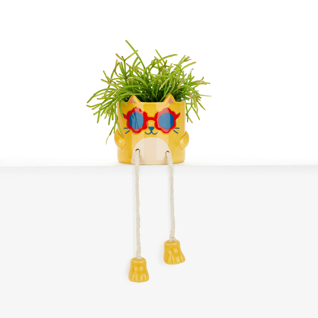 balvi-cool-cat-mini-pot-fleur-chat-jaune-c-ramique image 1