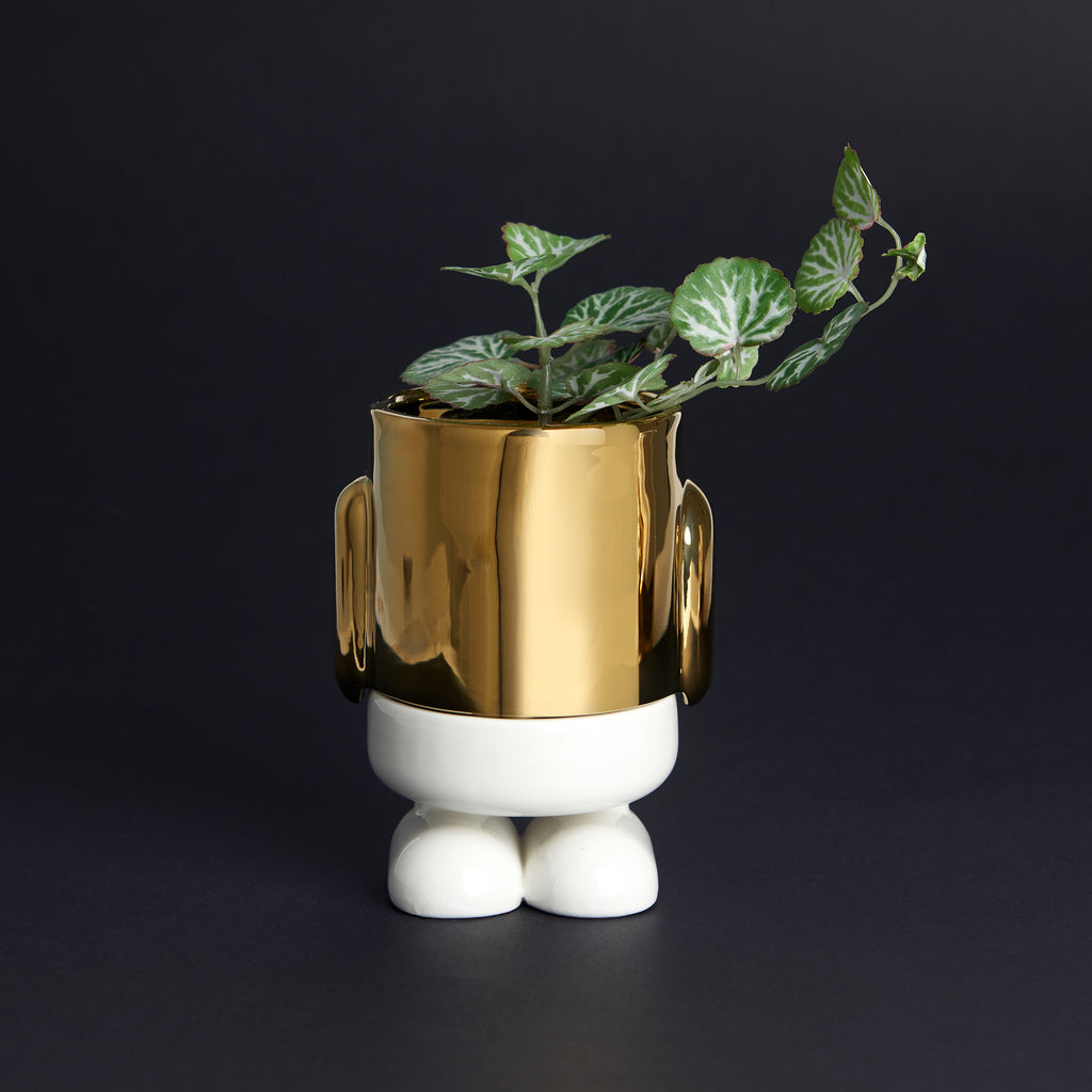 balvi-mr-standy-mini-cache-pot-c-ramique-bleu image 8