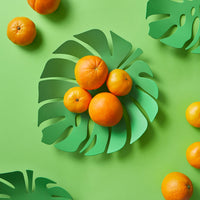 balvi-monstera-coupe-fruits-feuille-verte-design image 2