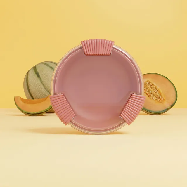 bini-binibox-lunchbox-grande-assiette-fabriqu-e-en-france image 1