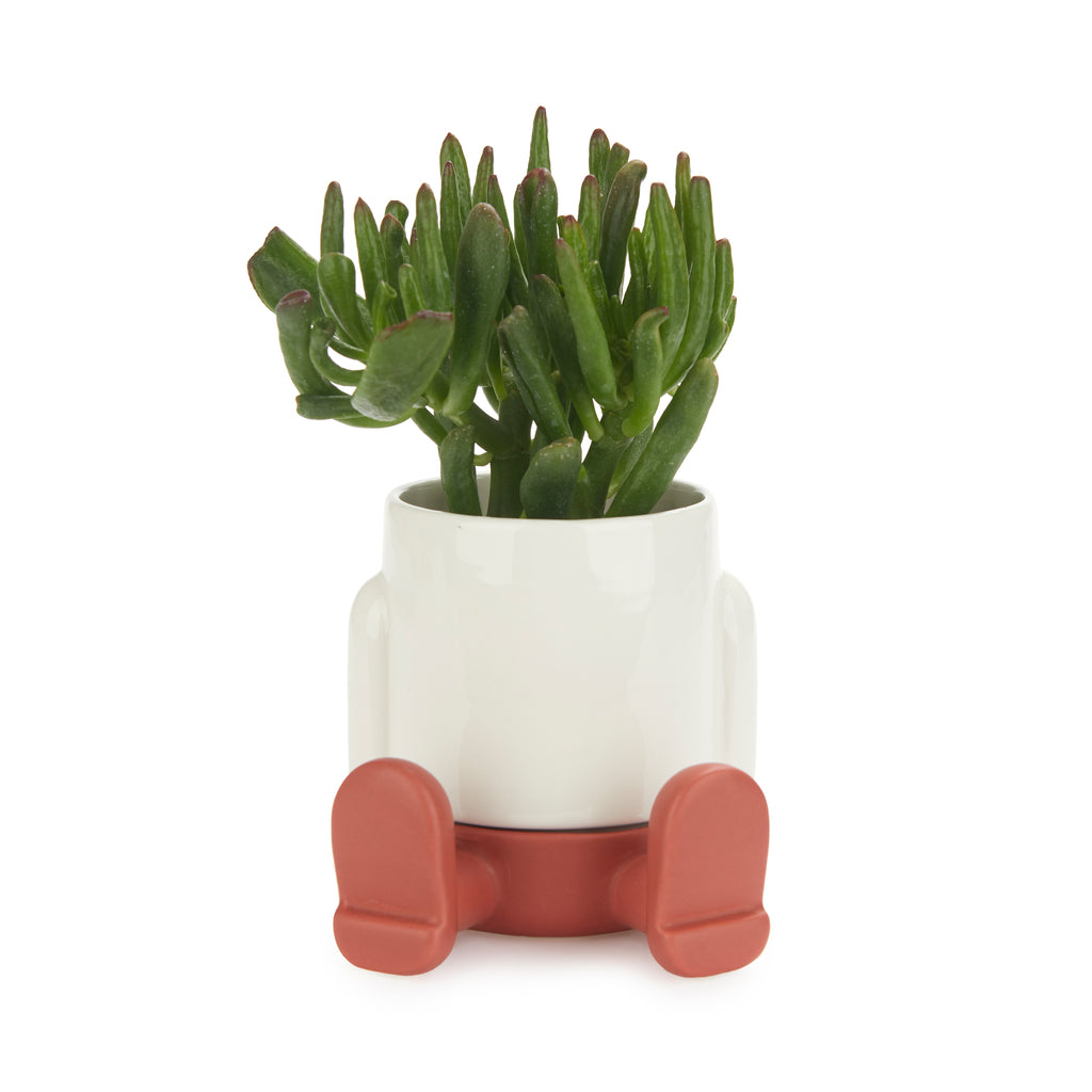 balvi-mr-sitty-cache-pot-c-ramique-rouge-mini image 1