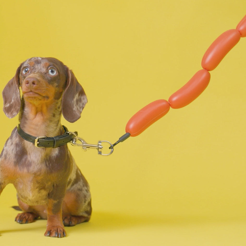 balvi-lifestyle-hot-dog-laisse-chien-saucisse-orange image 2