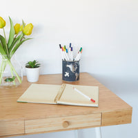 balvi-globe-pot-crayons-bureau-mappemonde image 2