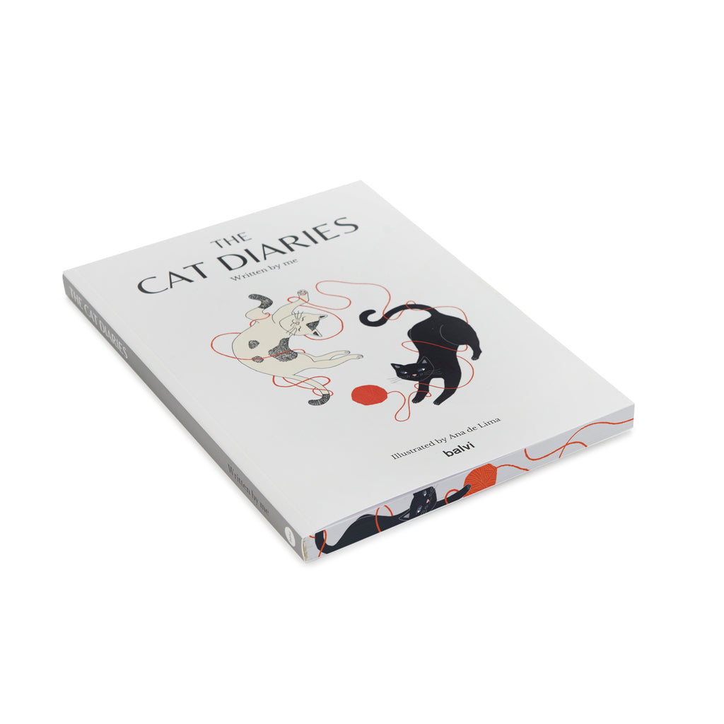 balvi-the-cat-diaries-carnet-chat-multicolore image 7