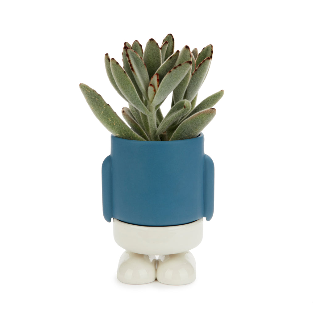 balvi-mr-standy-mini-cache-pot-c-ramique-bleu image 1