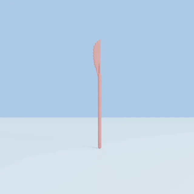 bini-binikit-couteau-blush-pi-ce-d-tach-e image 1