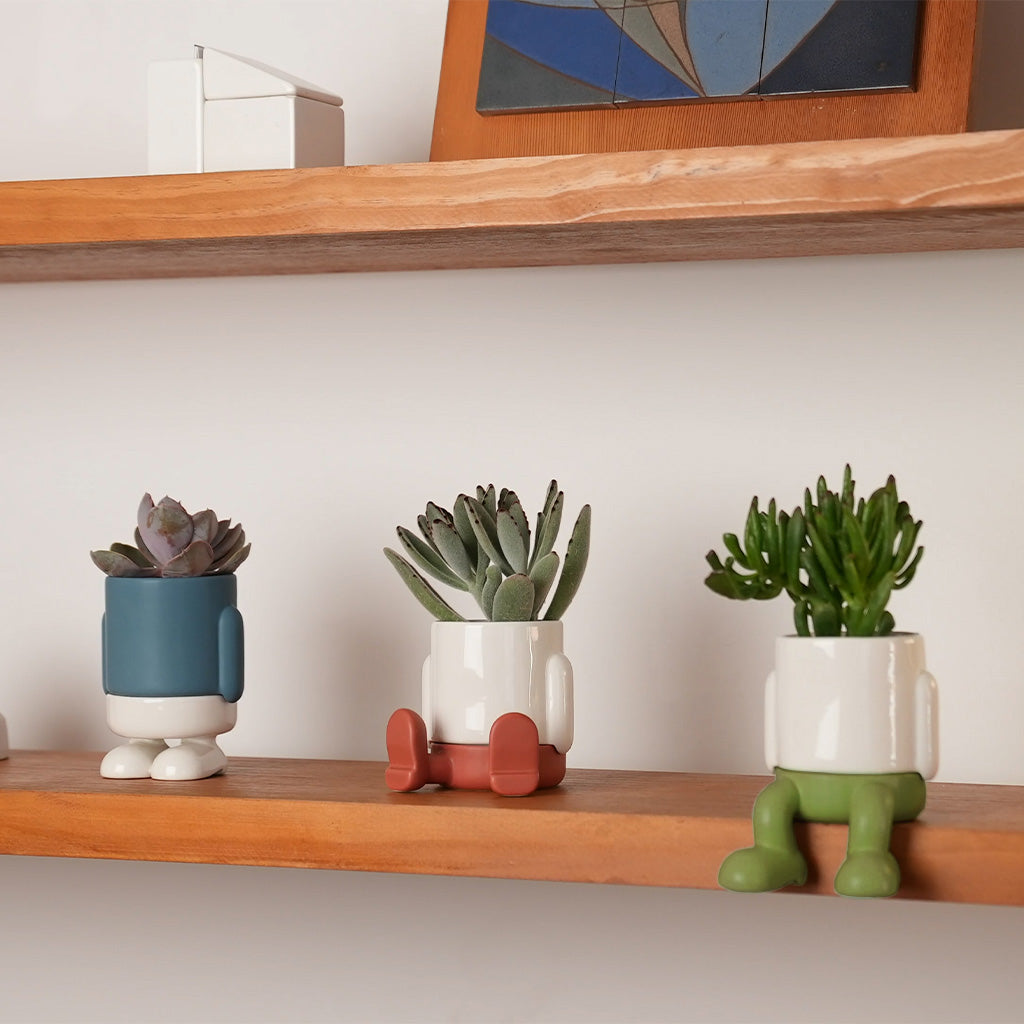 balvi-mr-standy-mini-cache-pot-c-ramique-bleu image 3