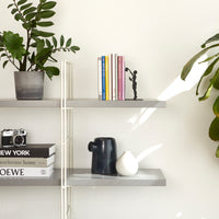 balvi-desk-the-library-serre-livres-biblioth-que image 3
