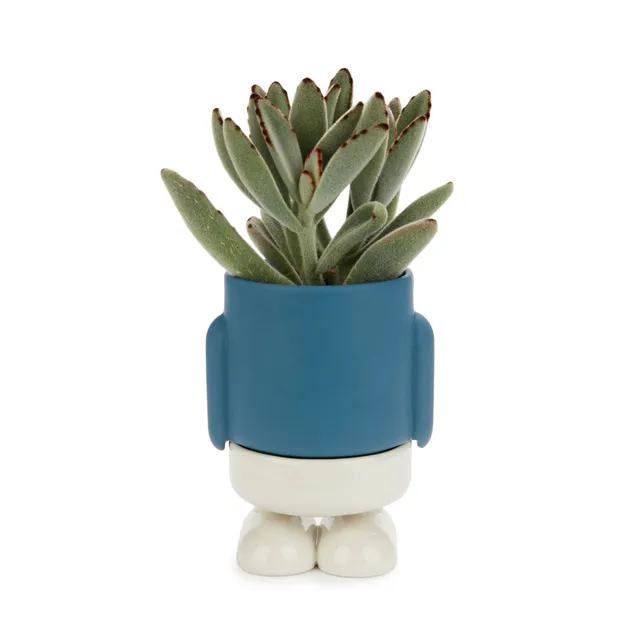 balvi-mr-standy-mini-cache-pot-c-ramique-bleu image 1