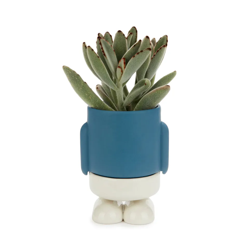 balvi-mr-standy-mini-cache-pot-c-ramique-bleu image 1